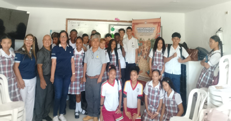 Investigación: Palenque al rescate